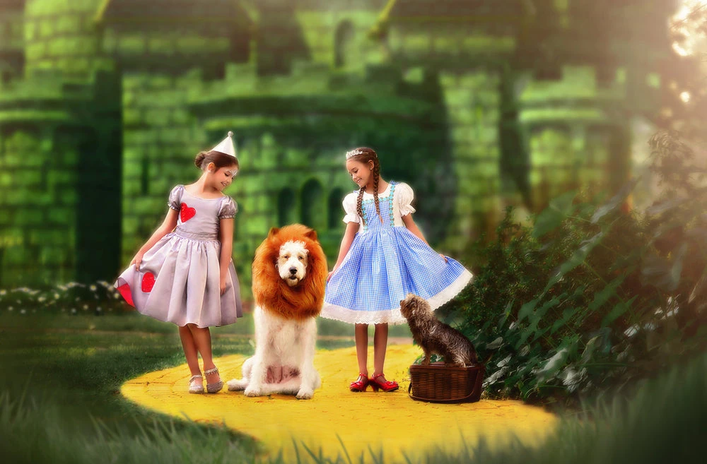 DOG LION MANE - Image 2