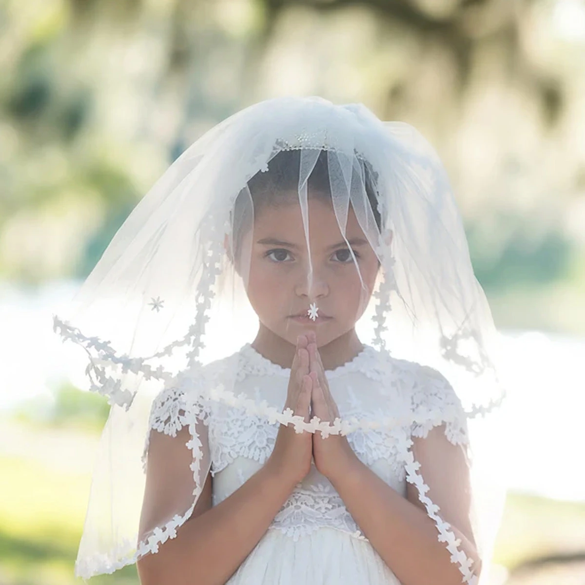 BIXBY VEIL - Image 3