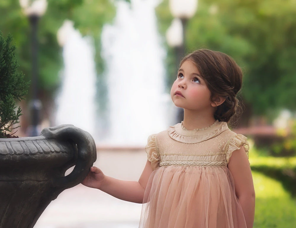 ALLESSANDRA DRESS BUTTERSCOTCH - Image 2