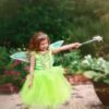 ENCHANTED FAIRY DRESS & WING SET