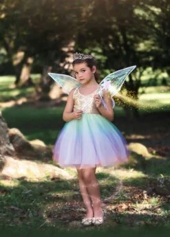 FAIRY DRESS, WINGS & WAND 3PC. SET