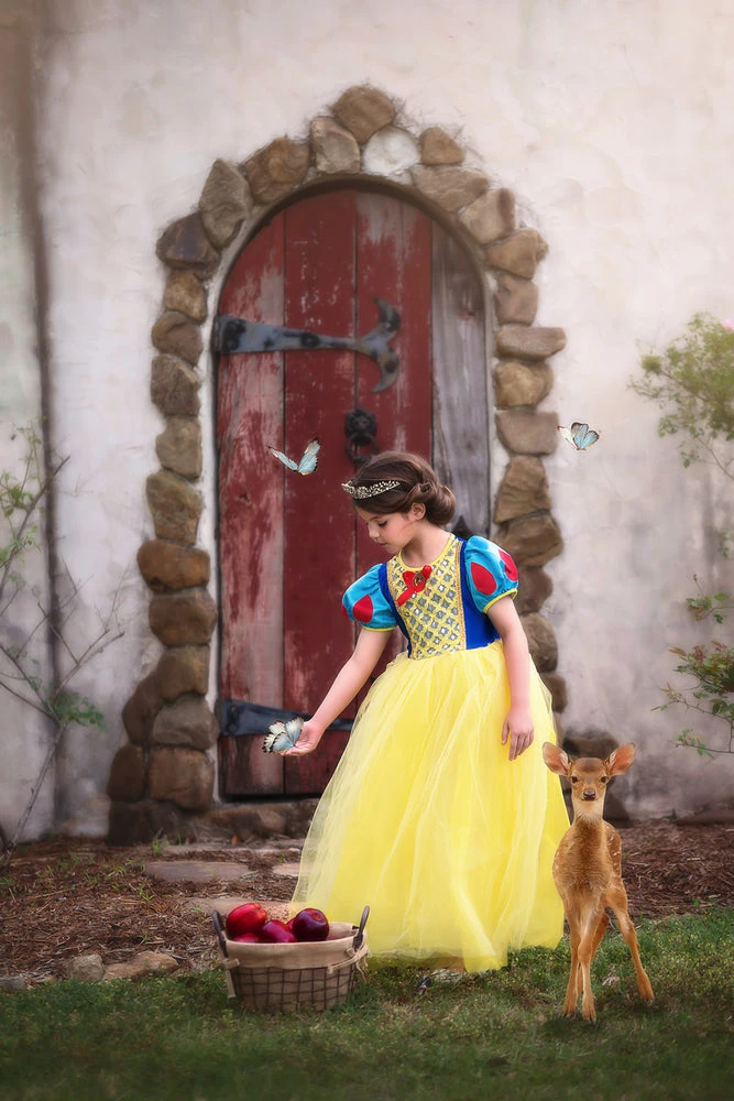 GENEVIEVE COSTUME - Image 4