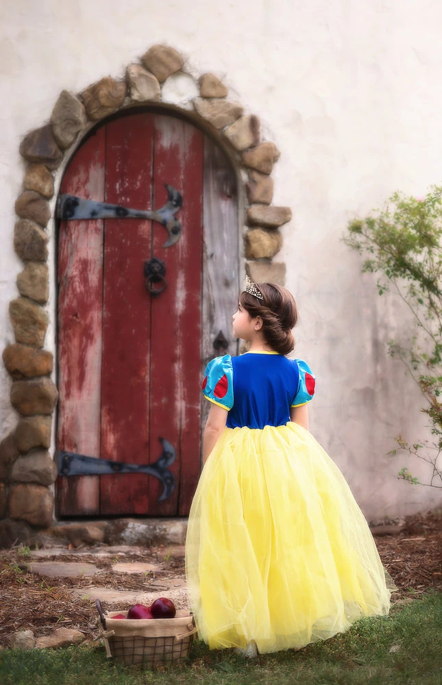 GENEVIEVE COSTUME - Image 6