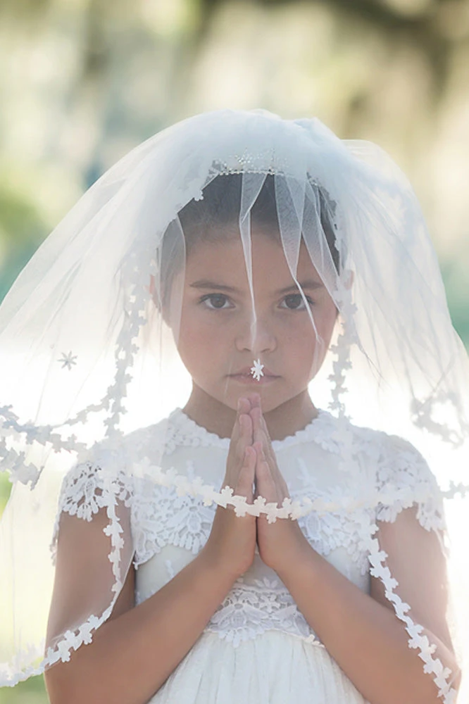 BIXBY VEIL - Image 2