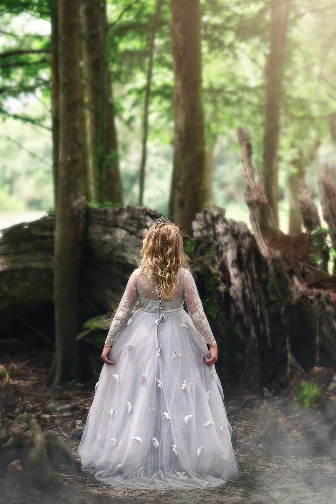 MARIPOSA GOWN SILVER - Image 3