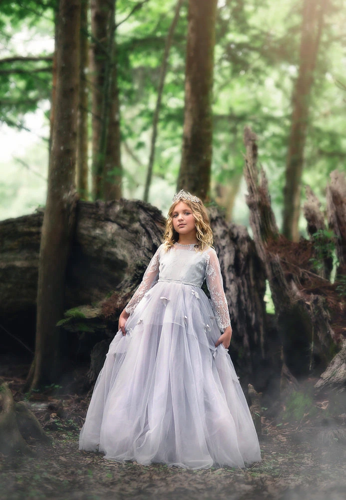 MARIPOSA GOWN SILVER - Image 4