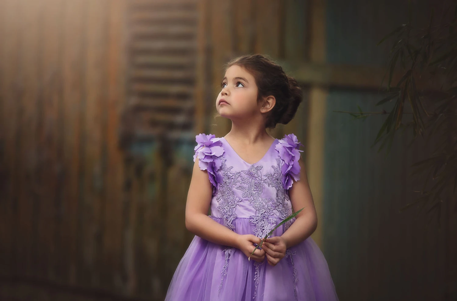 BIANCA DRESS LAVENDER - Image 4