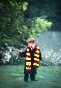 THE WIZARD BOY 5 PC SET